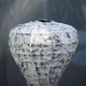 Turnip Grey Vase